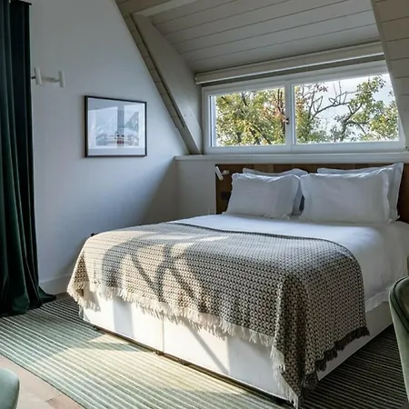 Royal With Magnificent Views